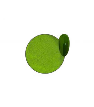 Polvo acrílico verde Nº 15 Evershine