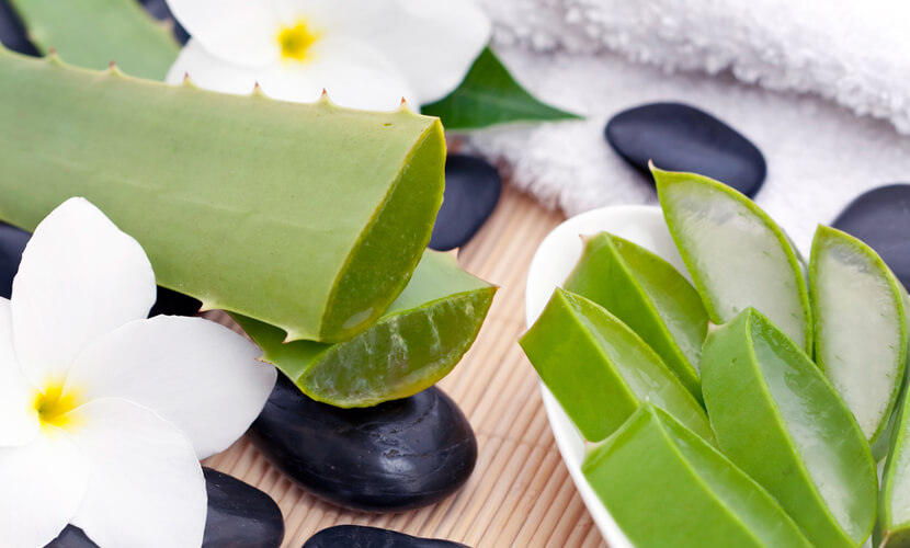 aloe-vera2.jpg